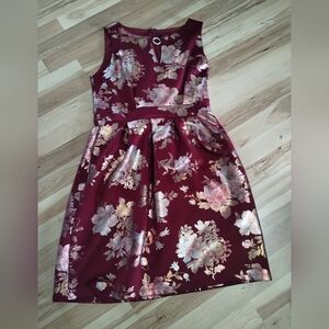 Enfocus Studio Burgundy Sunday Dress Size 10